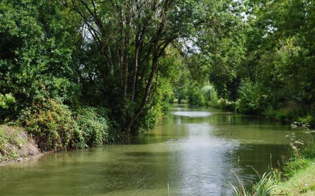 La Poussardiere Saint-Martin-sous-Mouzeuil Zewnętrze zdjęcie